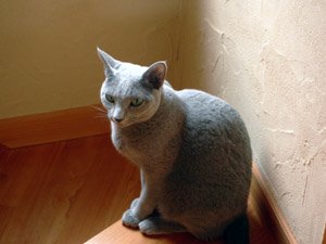 心を鬼に。