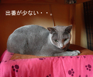 諦めたのか