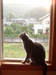 眺めるだけでも