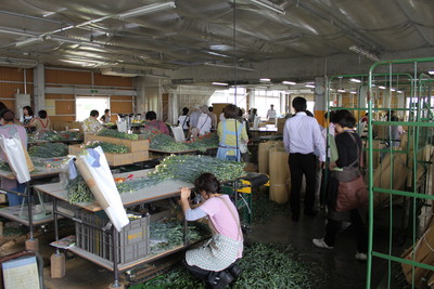 産地見学ツアー in JA佐久浅間