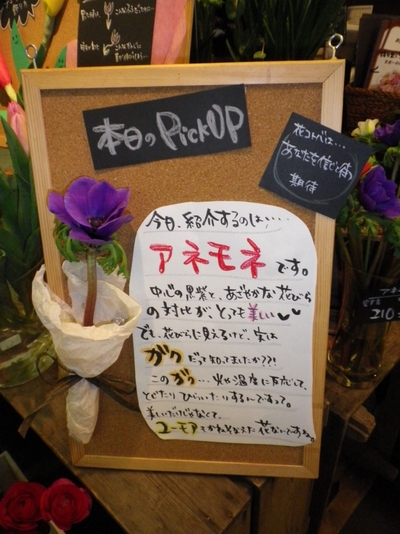 MIDORI店「本日のpick up!」