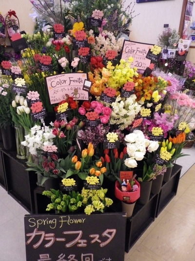 Spring Color Festa 最終回!!!