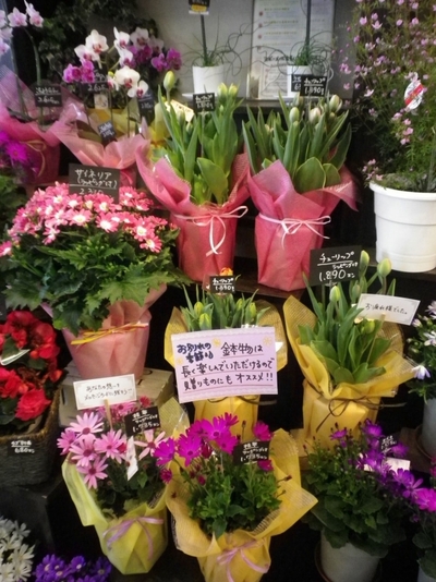 送別シーズンの定番