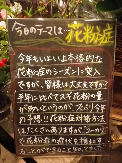 花粉症対策に!