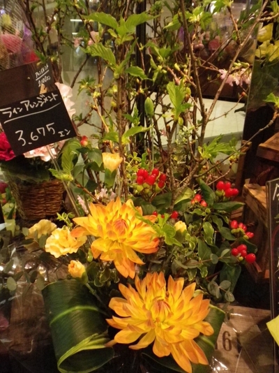 花粉症対策に!