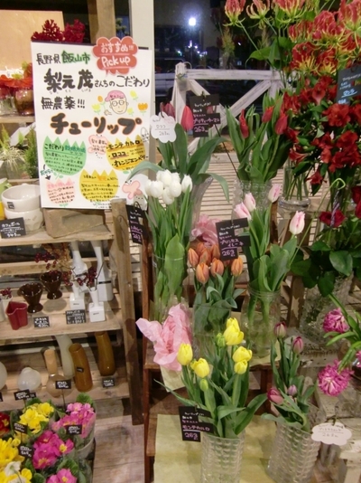 南バイパス店「大人気のチューリップ」