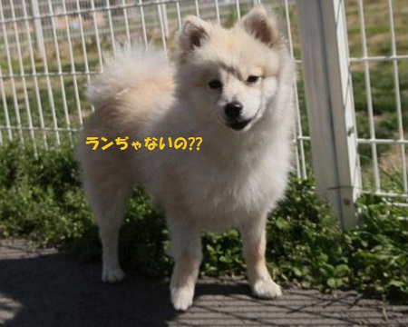 アイリック・トリミング♨ アイリック・トリミング♨