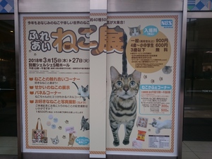 ねこ展とキタノフーズブティックカフェでランチ ねこ展とキタノフーズブティックカフェでランチ