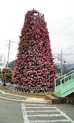 なかのバラまつり