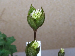一人静