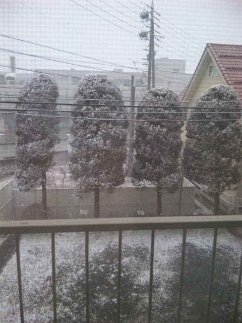 ☆ 大雪 ★