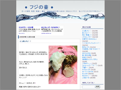 ◎フジの壷◎