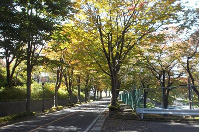 10月28日の記事 10月28日の記事