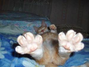 晴天なり~!