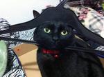 今日の山口