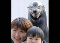 昼、エサ…