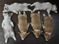 10月も半ば過ぎてた…(汗)