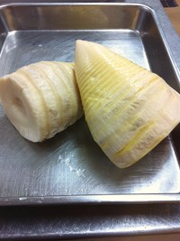 大地の中から、こんにちは!!