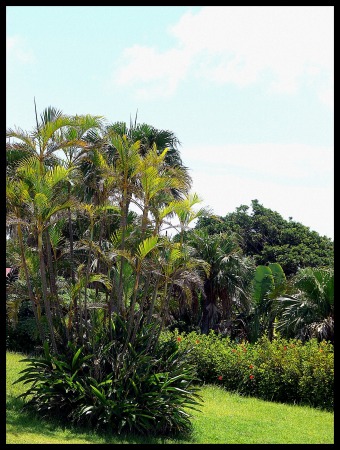 Okinawa Trip 「Nature」