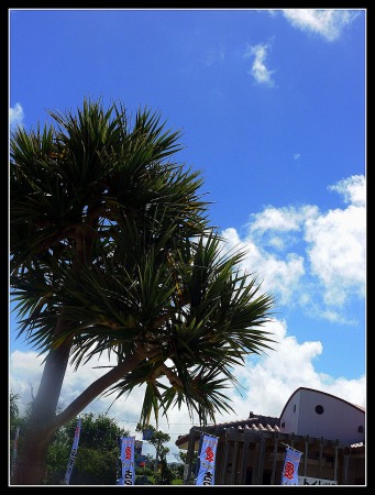 Okinawa Trip 「Nature」