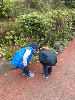 またもや またもや