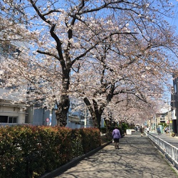 またもや またもや