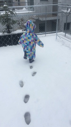 雪
