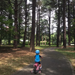 代々木公園