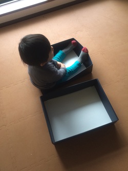 箱入り