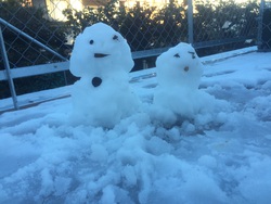 雪