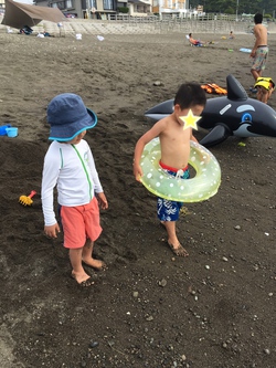 海