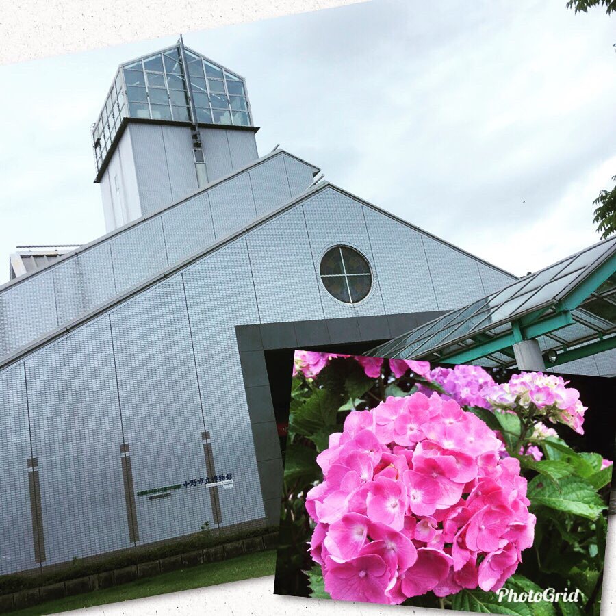 Sad サークル Nagano 中野市立博物館 紫陽花