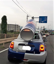 ブル、待て待て! ブル、待て待て!