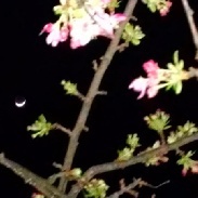 春感覚ですが・・・ 春感覚ですが・・・