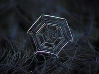 528Hz 528Hz