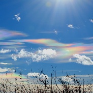 太陽に化かされる 太陽に化かされる