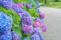 ６月