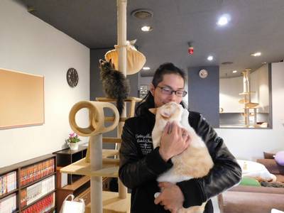 応援します サービス産業 ｂｙ 長野県 猫も人間も幸せになれるカフェ Aro アロ 上田市