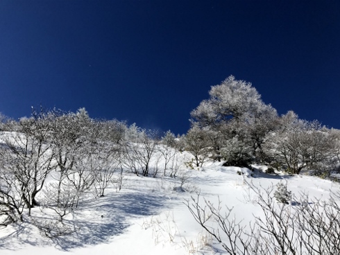 「青と白」～上田の街を見下ろす烏帽子と湯の丸高原