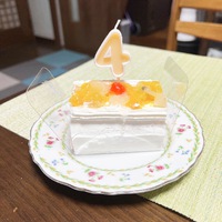 \ ぽんちゃんバースデー / \ ぽんちゃんバースデー /