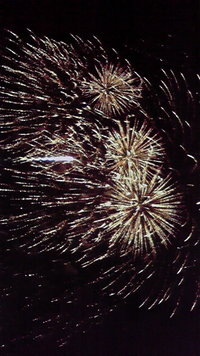 ☆お祭りですよ~☆