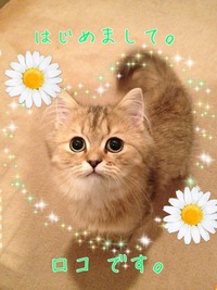 家族が増えました♫