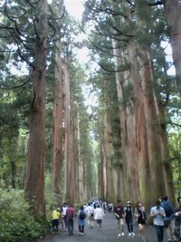 リナの休日☆彡