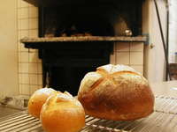 窯焼きパン画像　