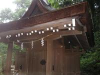 光の雨