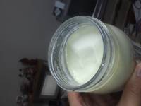 ふきのとう発酵液で作った豆乳ヨーグルトがヤバい件