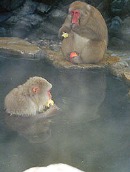 松本城と地獄谷野猿公苑が観光地トップ10入り