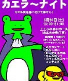 本日カエル祭(松本 縄手通り)