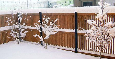 雪かき・雪かきシャベル