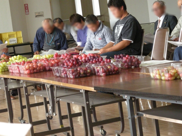 果樹研のぶどう部会